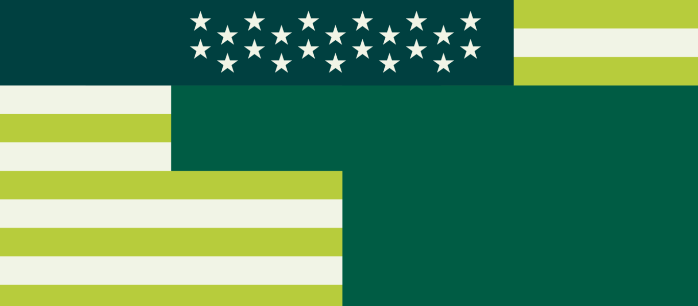 The Stars and Stripes Shaded Green banner photo