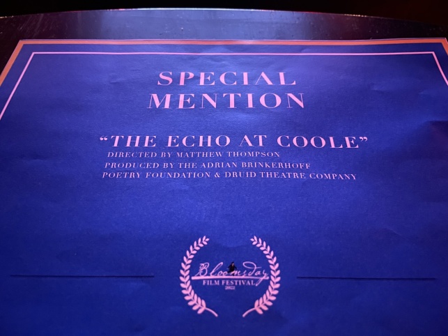 			Special Mention Bloomsday Film Festival Awards