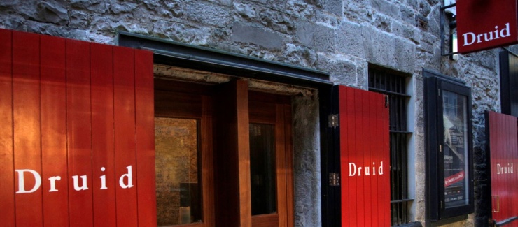 1366x600 Druid Lane Image credit Colm Hogan 2