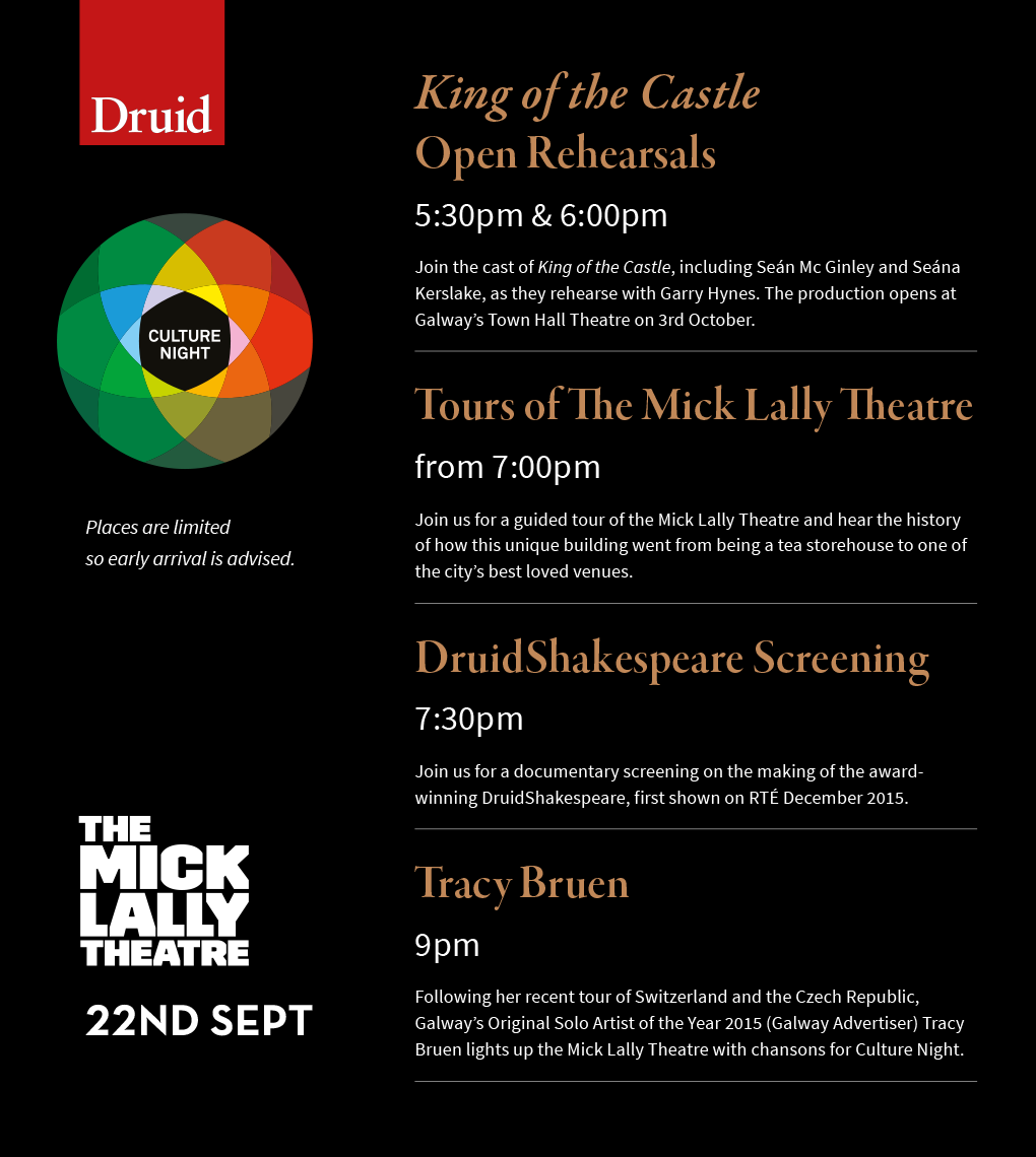 druid-culture-night.png#asset:3002